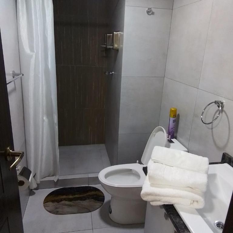 Beautiful apartment in the best area of La Paz - Apartamento de 1 dormitorio - 24