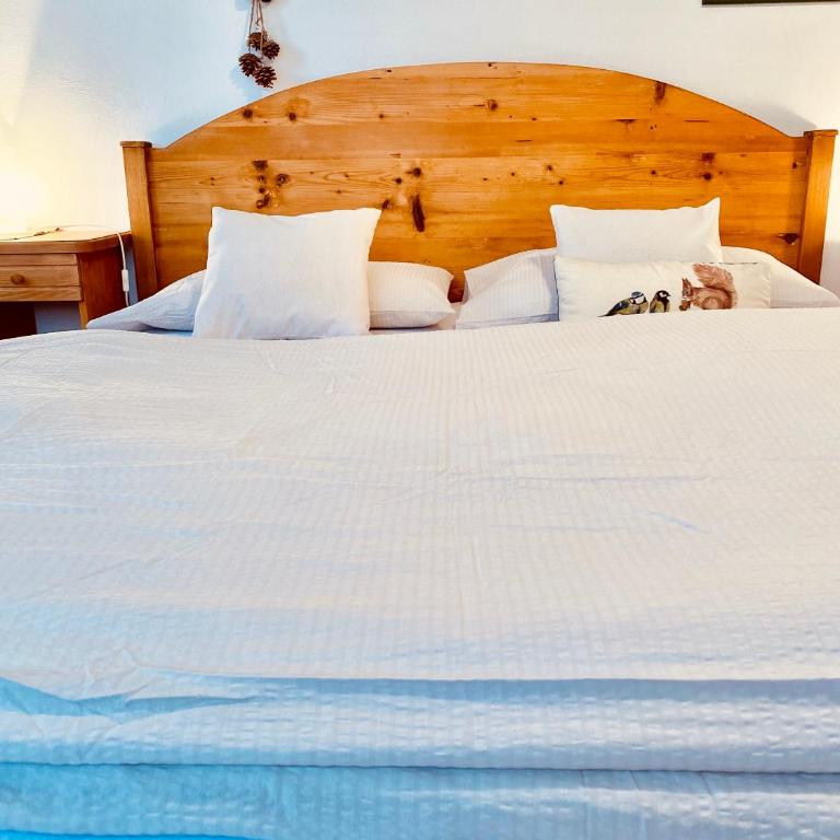 Apartament Loft Fiemme - Apartamento Familiar de 2 dormitorios con vistas - 39