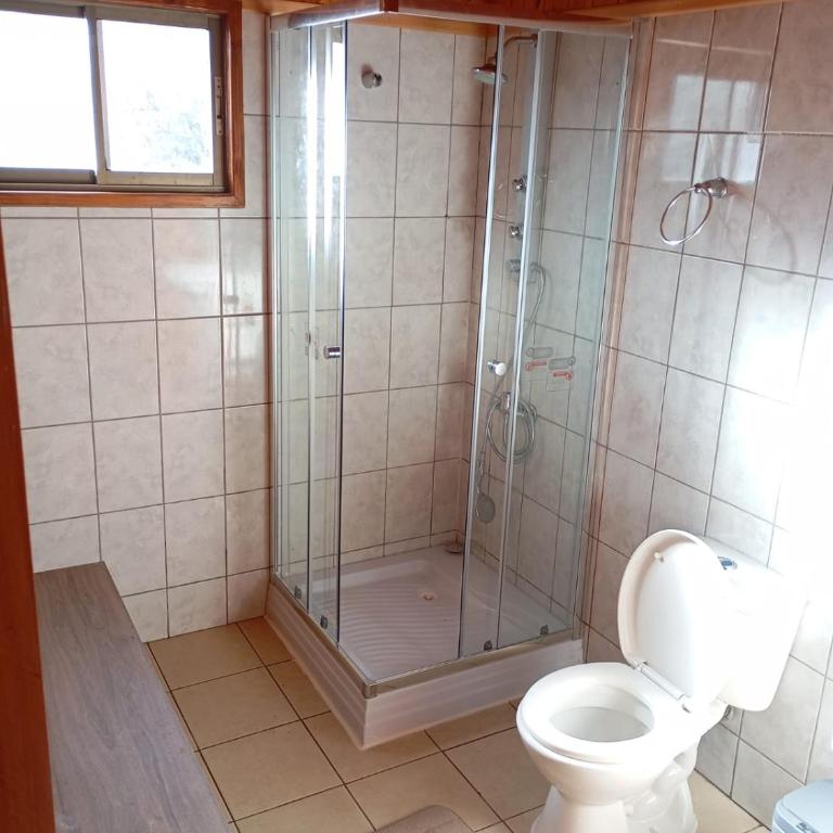 casa en caburgua - Four-Bedroom House - 10