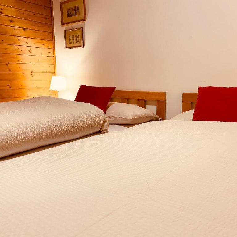 Apartament Loft Fiemme - Apartamento Familiar de 2 dormitorios con vistas - 20