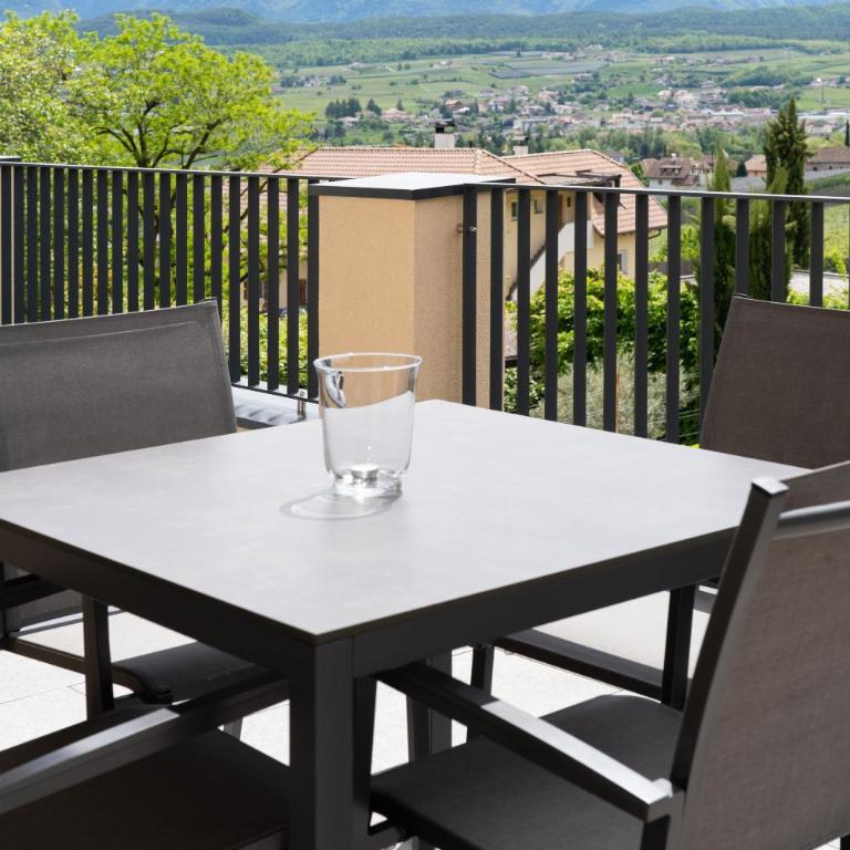 Weingut Gasshof- Panorama Pool in den Weinbergen - Appartamento con Vista Montagna - 36