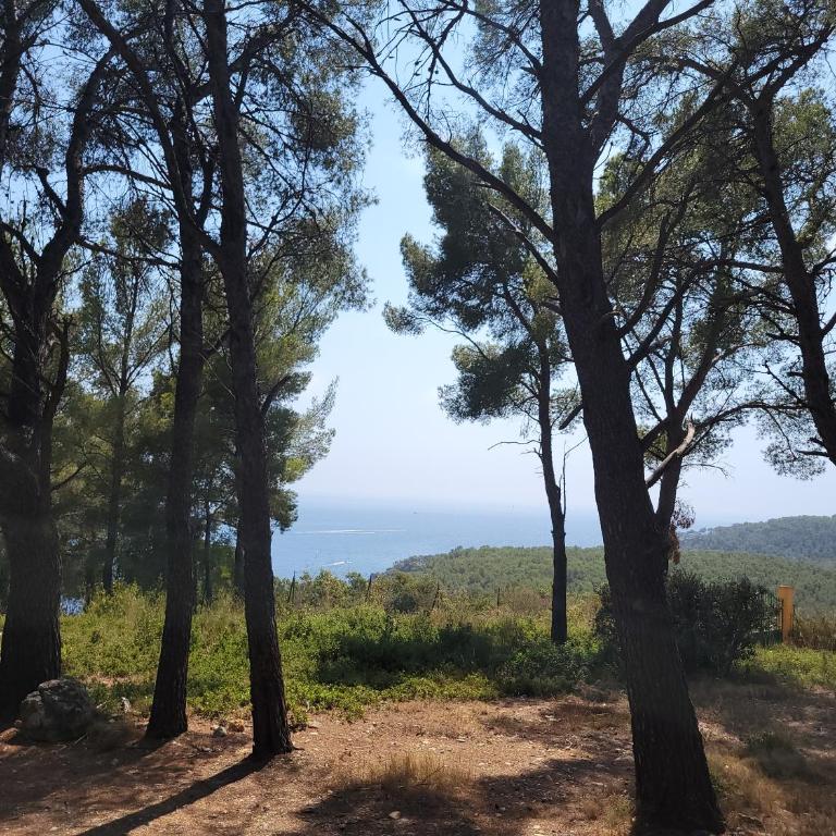 Entre Nature et Calanques, le repos en Provence - Appartement 1 Chambre - 2