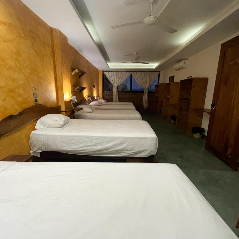 Madre Tierra Hostal - Cama individual en habitación compartida mixta - 11