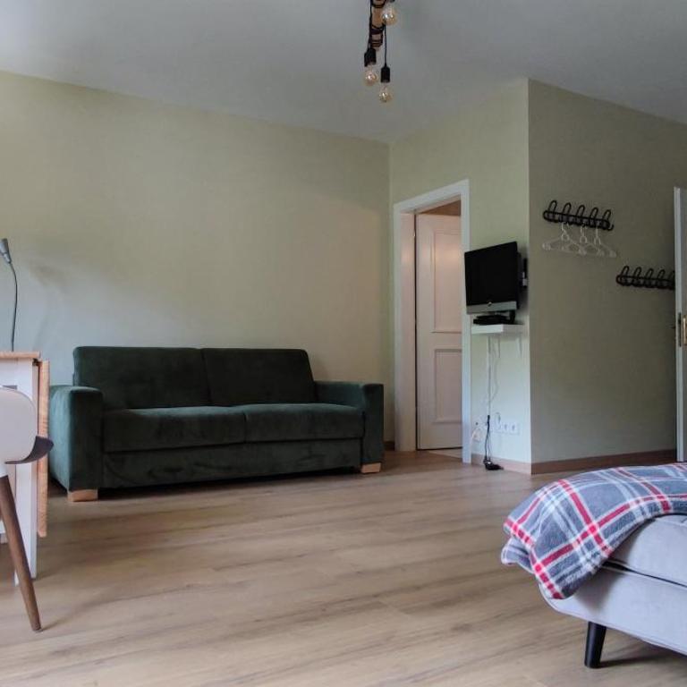 Haus Schubert-Top6 - Apartamento de 1 dormitorio - 19