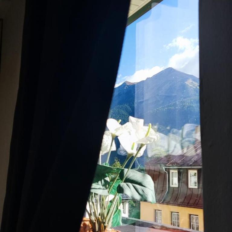 Haus Schubert-Top6 - Apartamento de 1 dormitorio - 15