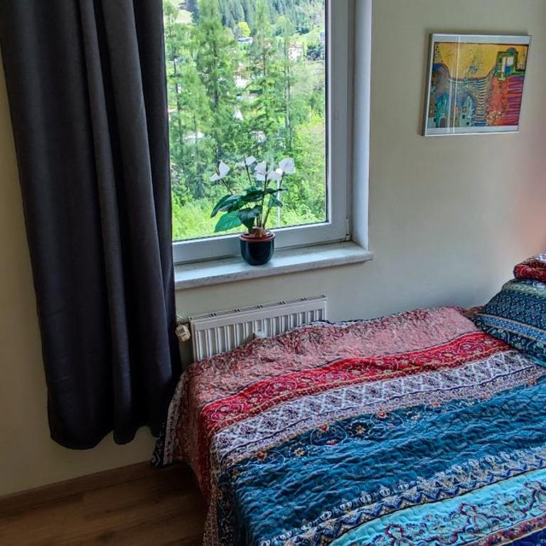 Haus Schubert-Top6 - Apartamento de 1 dormitorio - 14