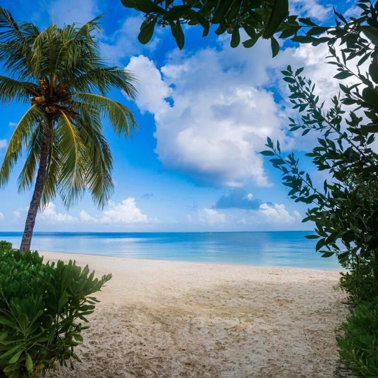 Villa RosMar Luxury Beachfront House - Villa - 40