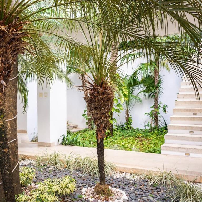 Villa RosMar Luxury Beachfront House - Villa - 54