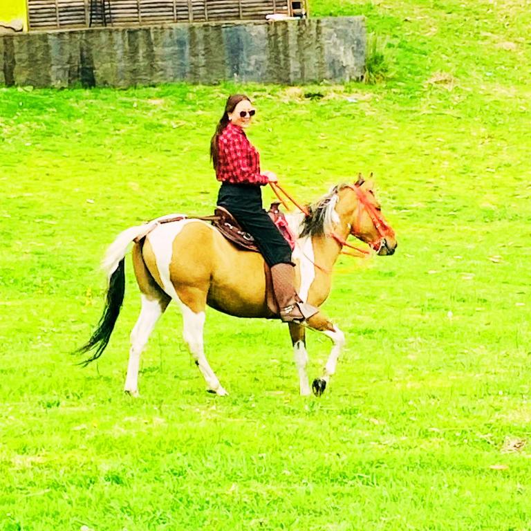 Glamping exclusivo de lujo en la montaña - Tienda - 21