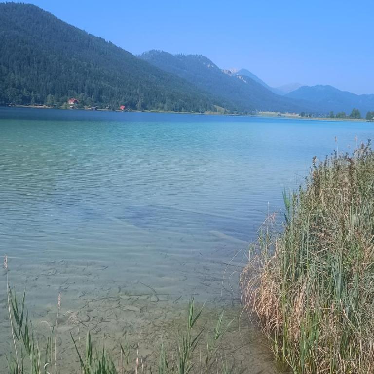 Family- Home Alpenblick - Apartment mit 2 Schlafzimmern - 21