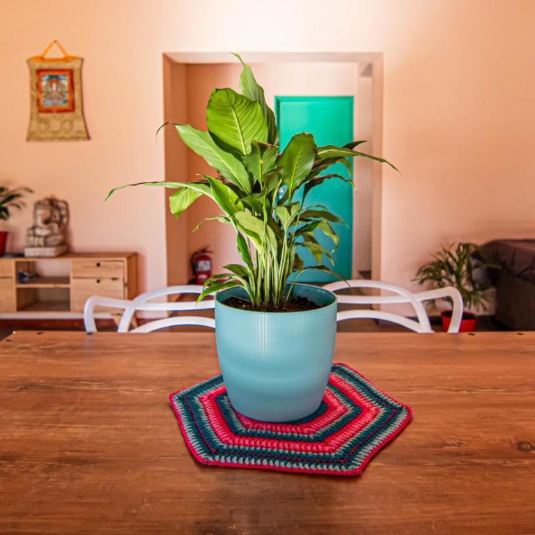 Oceana Suites Espacio Ganesha - Casa de 3 dormitorios - 4