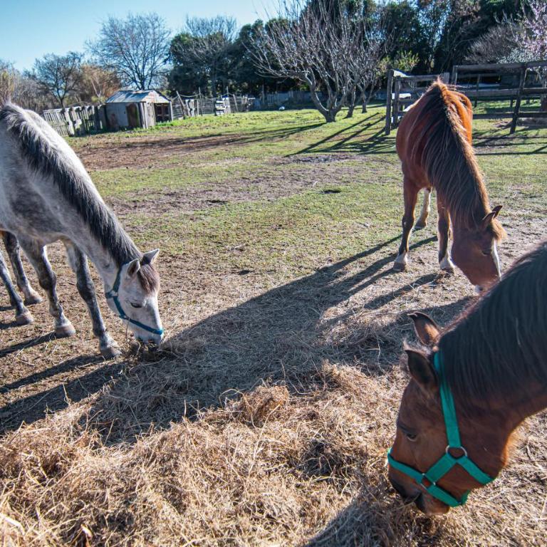 Oceana Suites Espacio Ganesha - Casa de 3 dormitorios - 31