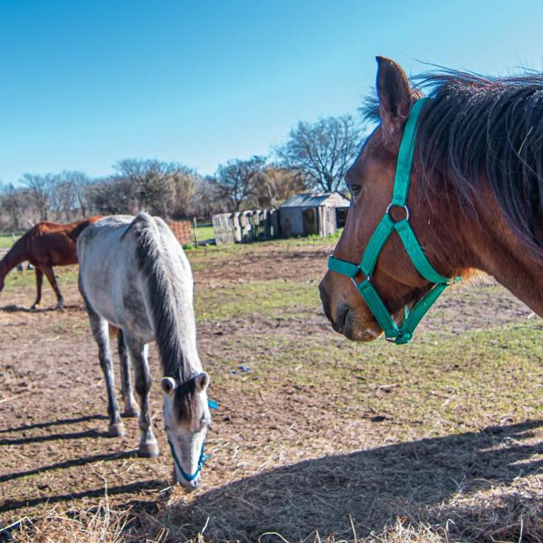 Oceana Suites Espacio Ganesha - Casa de 3 dormitorios - 32