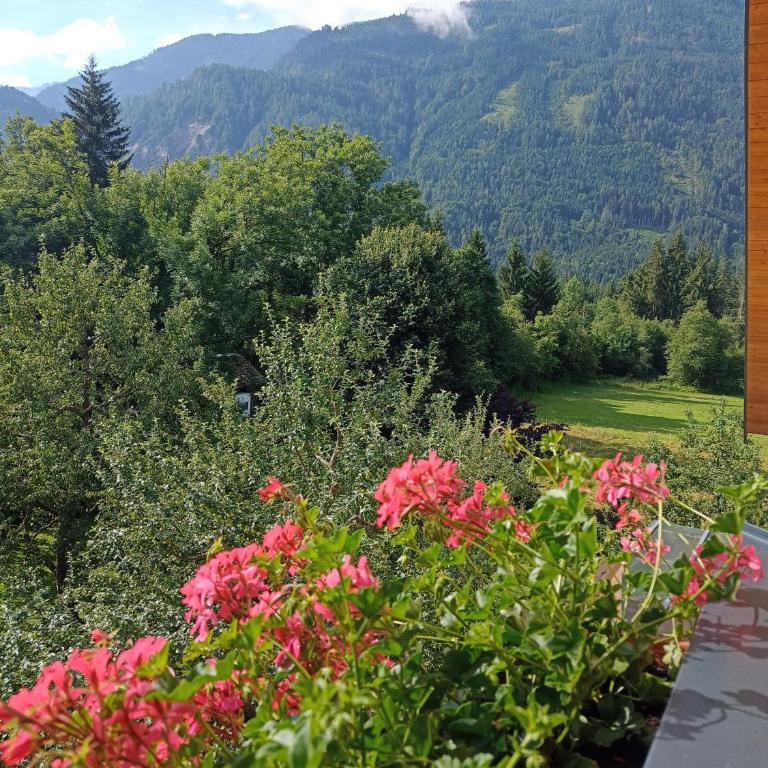 Family- Home Alpenblick - Apartment mit 2 Schlafzimmern - 13