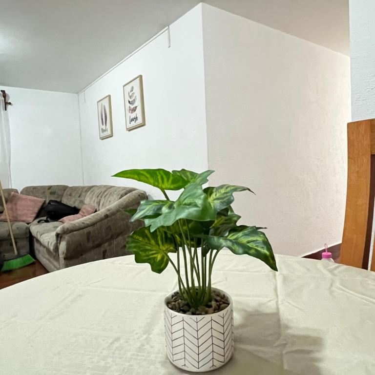 Apartamento cómodo con WIFI rápido en CDMX cerntrico - Apartamento de 3 dormitorios - 13