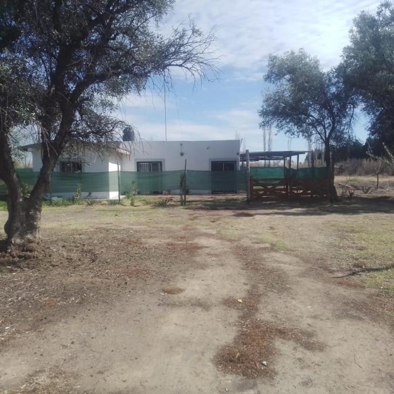 mendoza junin - Casa con 1 dormitorio - 35