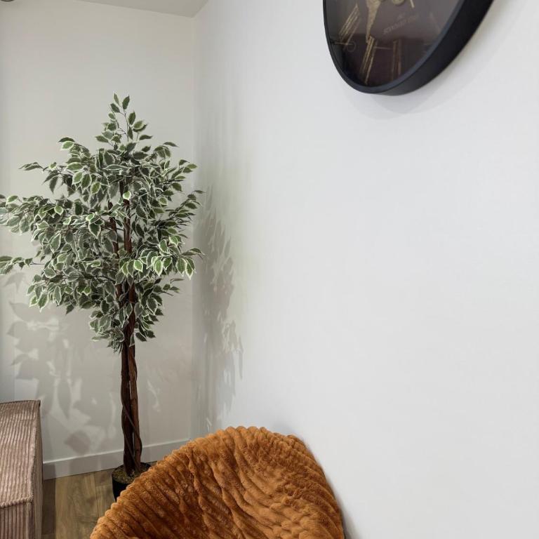 Longchamps 2 - Grand appartement 73m2 neuf spacieux - Apartamento de 2 dormitorios - 19