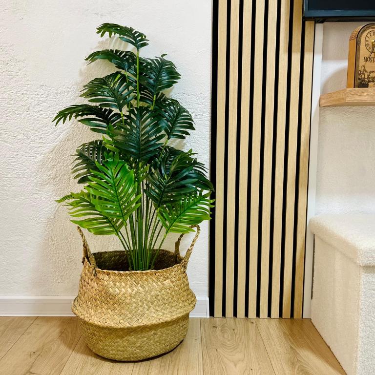 Zayed Residence - Apartman sa 1 Spavaćom Sobom - 20