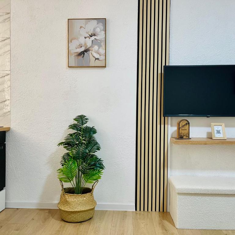 Zayed Residence - One-Bedroom Apartment - 23