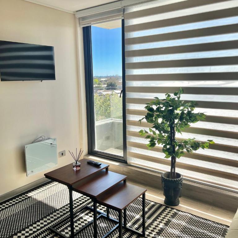 Maravilloso y central departamento - Two-Bedroom Apartment - 3