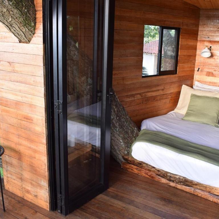 Treehouse - One-Bedroom House - 8