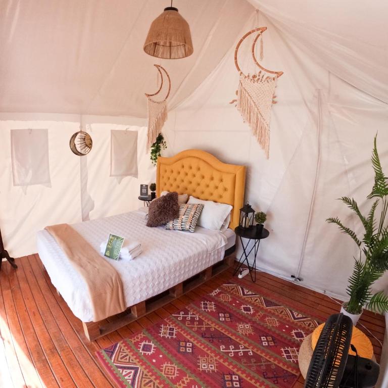 Mystic Paracas Hotel & Glampings - Tent - 8