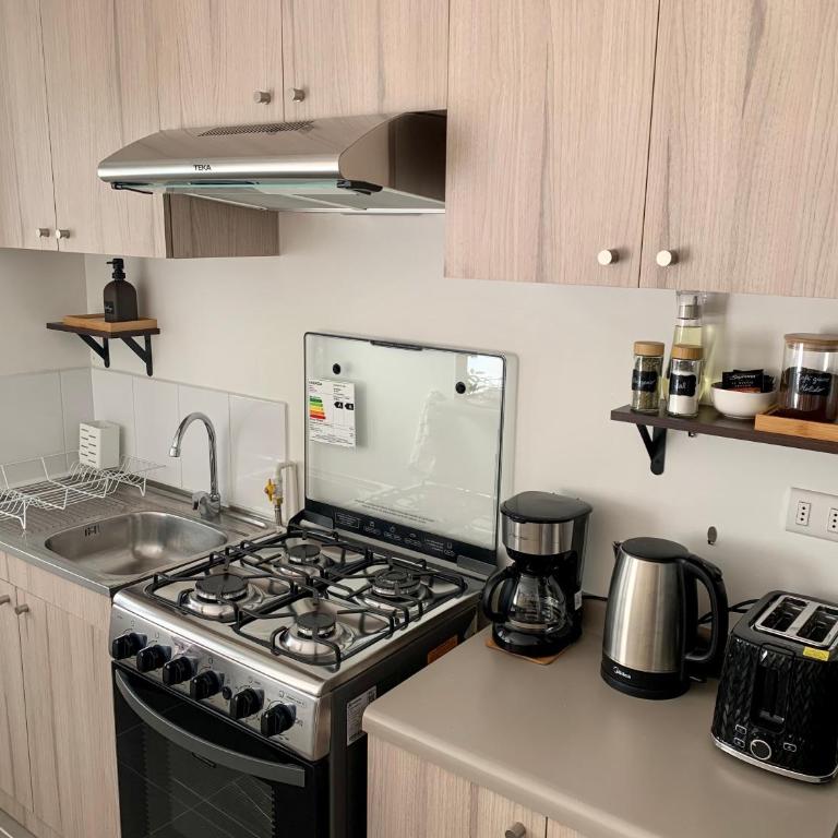 Departamento Villarrica Alto costanera Full equipado - Apartamento de 2 dormitorios con balcón - 13