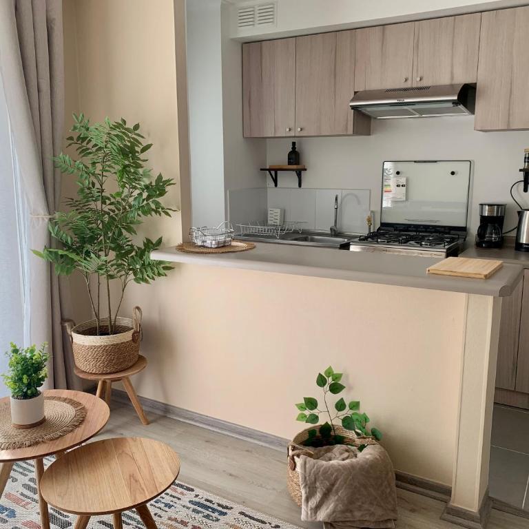 Departamento Villarrica Alto costanera Full equipado - Apartamento de 2 dormitorios con balcón - 29