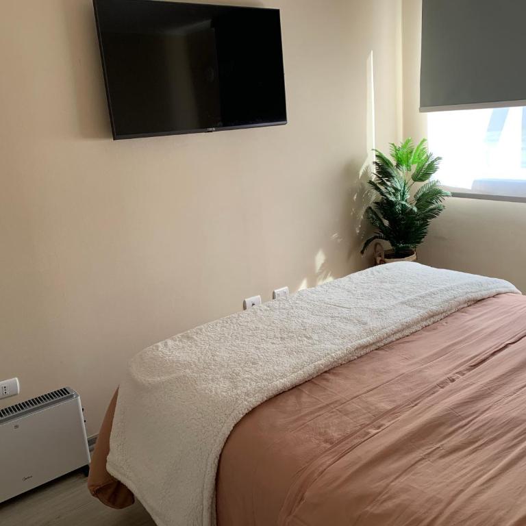 Departamento Villarrica Alto costanera Full equipado - Apartamento de 2 dormitorios con balcón - 32