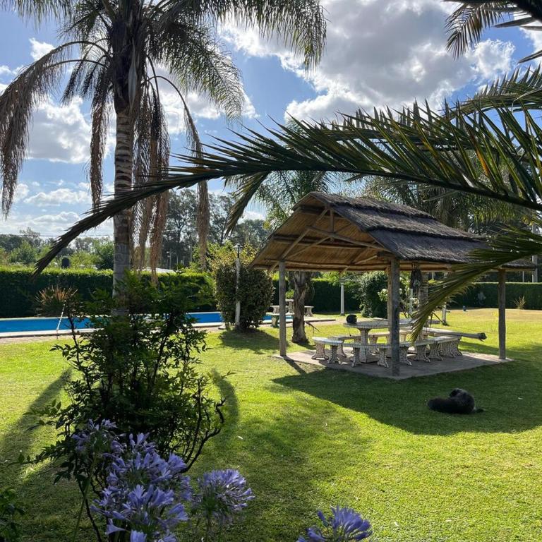 Casa Quinta rural con pileta - Five-Bedroom House - 7