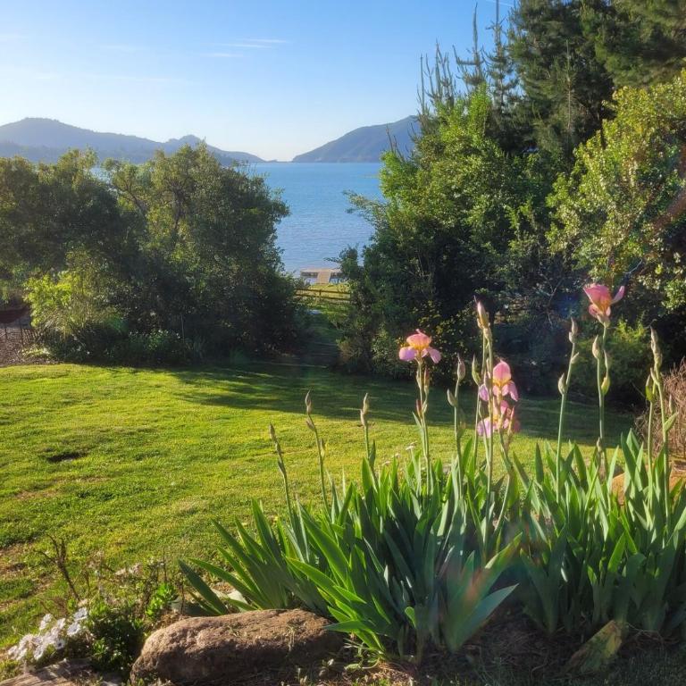 Nativo Colbún - Four-Bedroom Vacation Home - 21