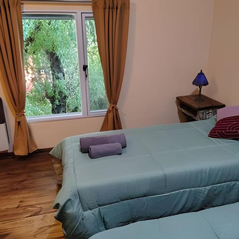 Mi Casa Tu Casa C -Relax & Starlink-Pet friendly - Double Room with Park View - 2