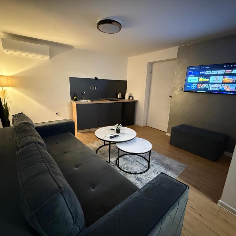 Apartment Arte Old Town - Free parking - One-Bedroom Apartment - 1