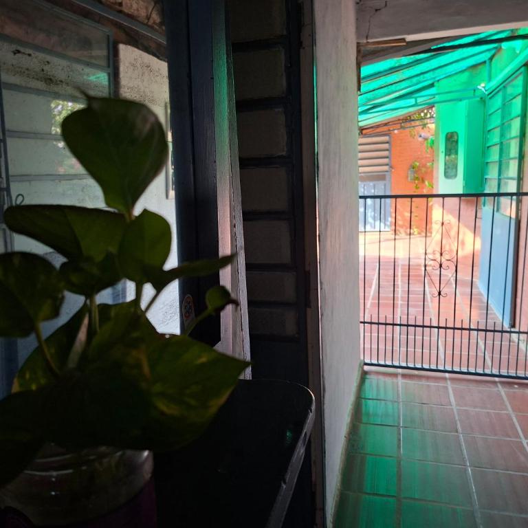 Casa Micha - Hospedaje temporal en Asunción - One-Bedroom Apartment - 7