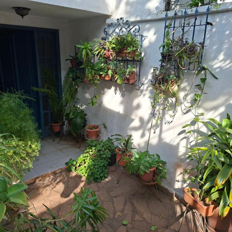 Casa Micha - Hospedaje temporal en Asunción - One-Bedroom Apartment - 11