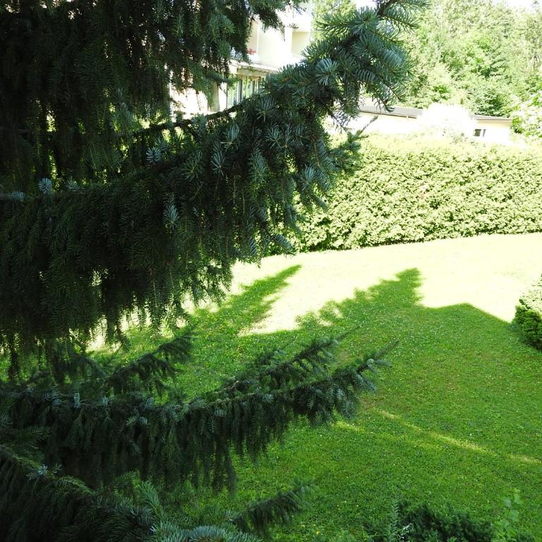 Exclusive Holiday Apartments - Appartamento con 1 Camera da Letto, Balcone e Vista Giardino - 3