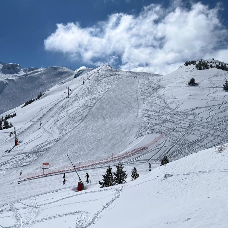 Appartement Superdevoluy T2 6 pers Les Issarts aux pieds des pistes orientation Sud - Appartement 1 Chambre - 18