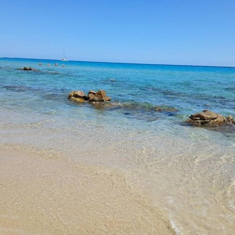 Paradise Flat 48-49 - View, Garden & Parking - 200m beach - Appartamento con 1 Camera da Letto - 22