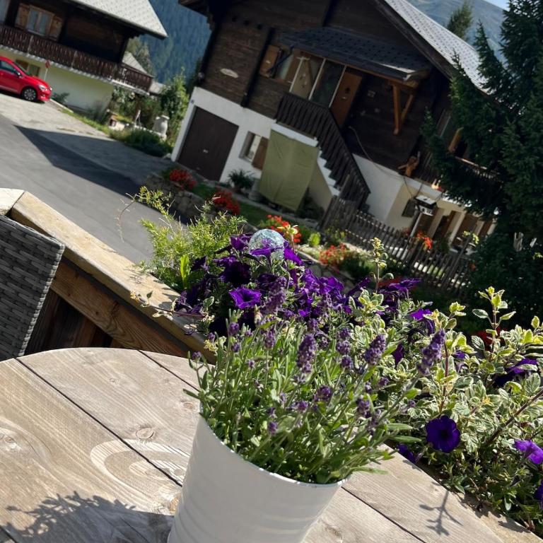Residence Edelweiß in Bellwald - Apartment mit 1 Schlafzimmer und Balkon - 15