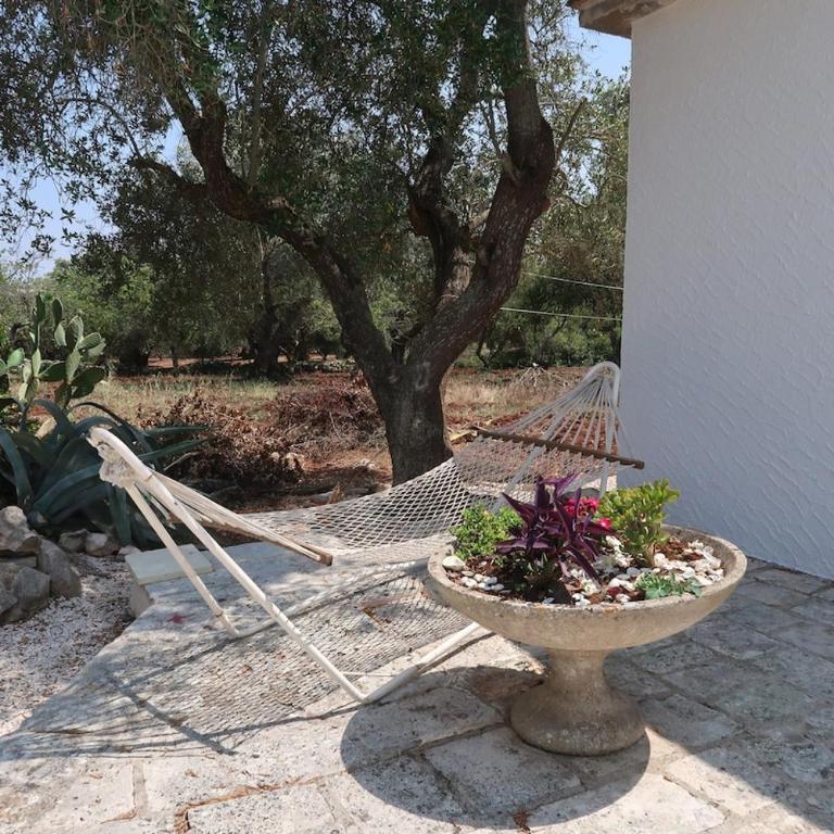 Trulli di Anna Ceglie Messapica - Villa con 2 Camere da Letto - 7