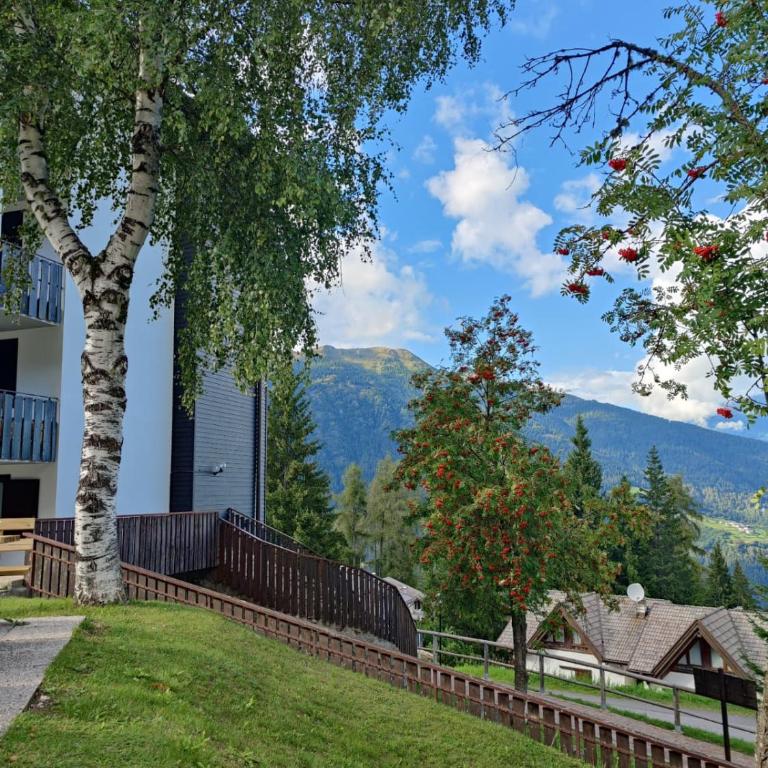 Il Rifugio dell'Artista - Appartamento con 2 Camere da Letto - 59