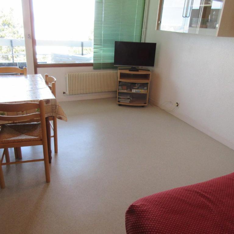 Studio confort pour 4 pers, proche pistes, animaux admis - FR-1-340-94 - Studio - 1