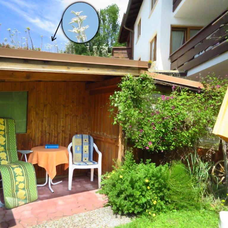 Ferienwohnungen Lind - Apartment - Erdgeschoss - 4