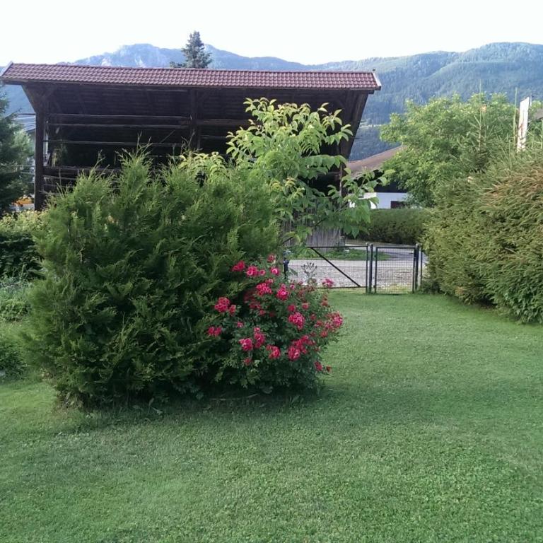 Appartements Zankl - Apartment mit 3 Schlafzimmern - 8