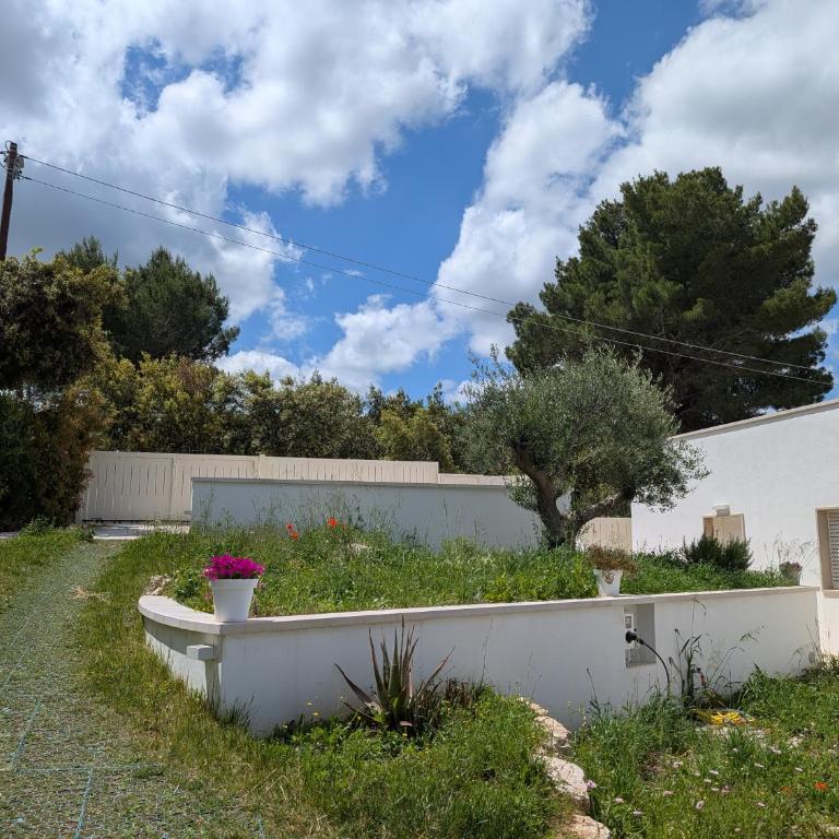Eco dei trulli - One-Bedroom Apartment - 13