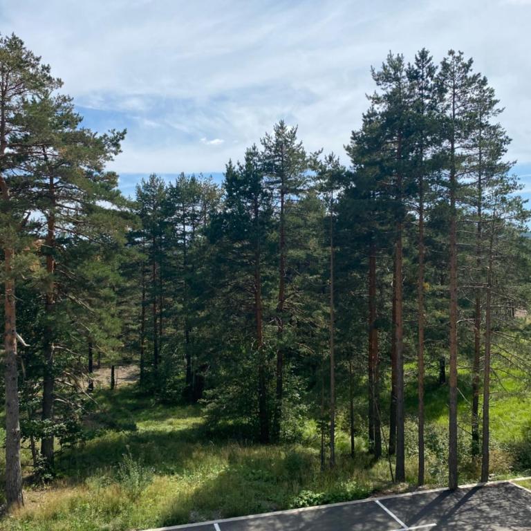 Green Hills MD Divcibare - Apartman sa 1 Spavaćom Sobom - 20