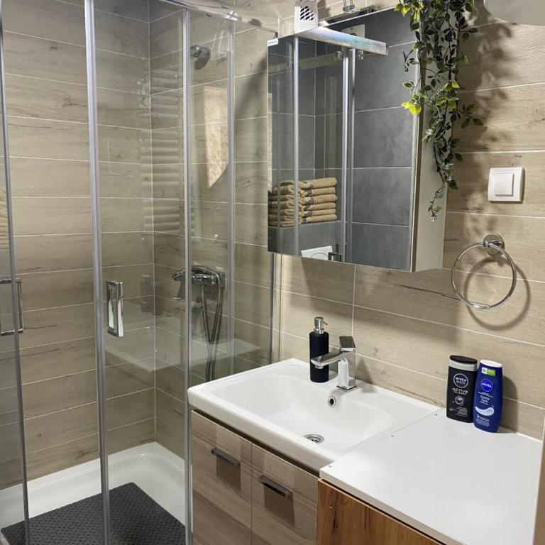 Green Hills MD Divcibare - Apartman sa 1 Spavaćom Sobom - 17