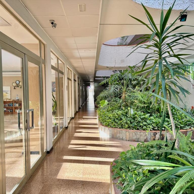 Tinache House - Apartamento de 1 dormitorio - 20