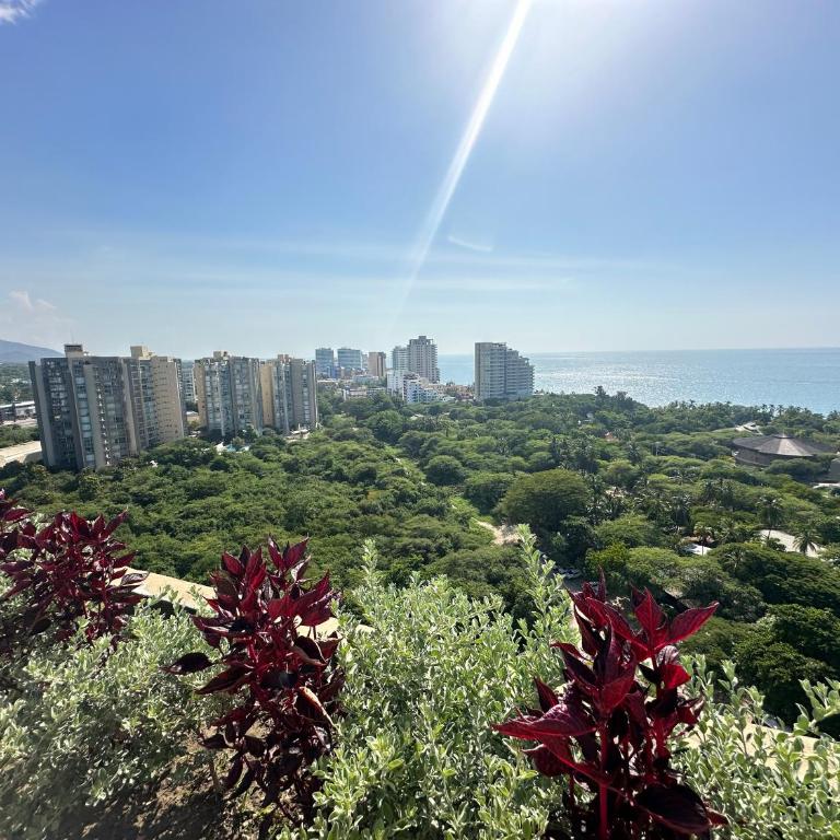 Hermoso Apartamento con vista a la montaña en santamarta magdalena - One-Bedroom Apartment - 18