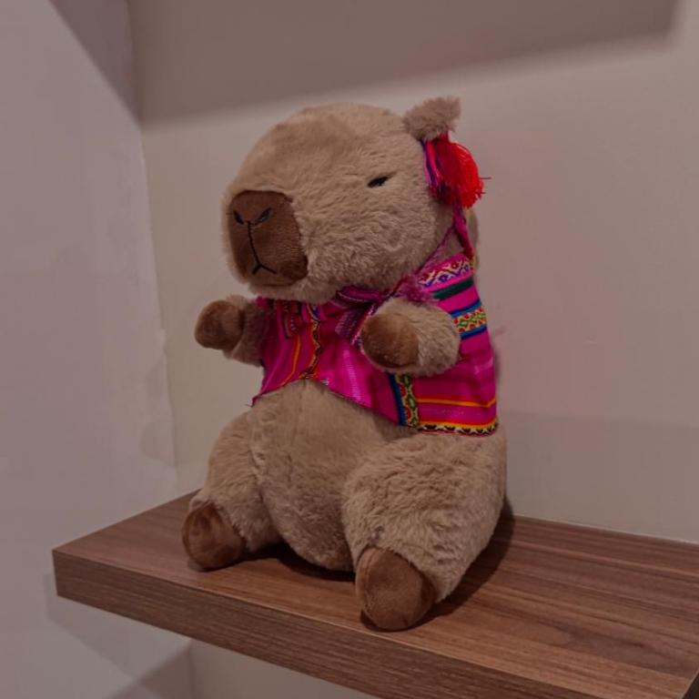 Cozy Equipped Apartment in Cusco - One-Bedroom Apartment - 4